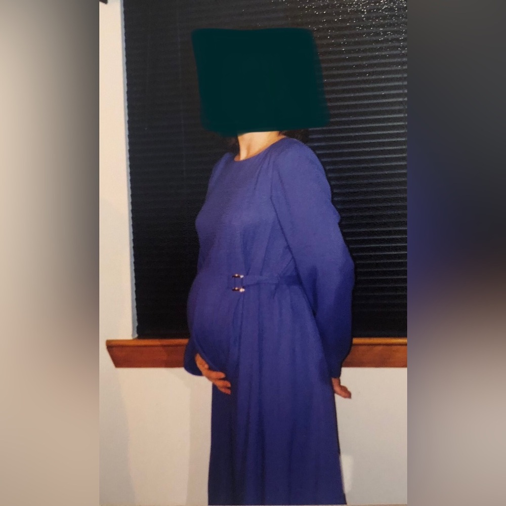 Hayley Michaels vintage maternity dress